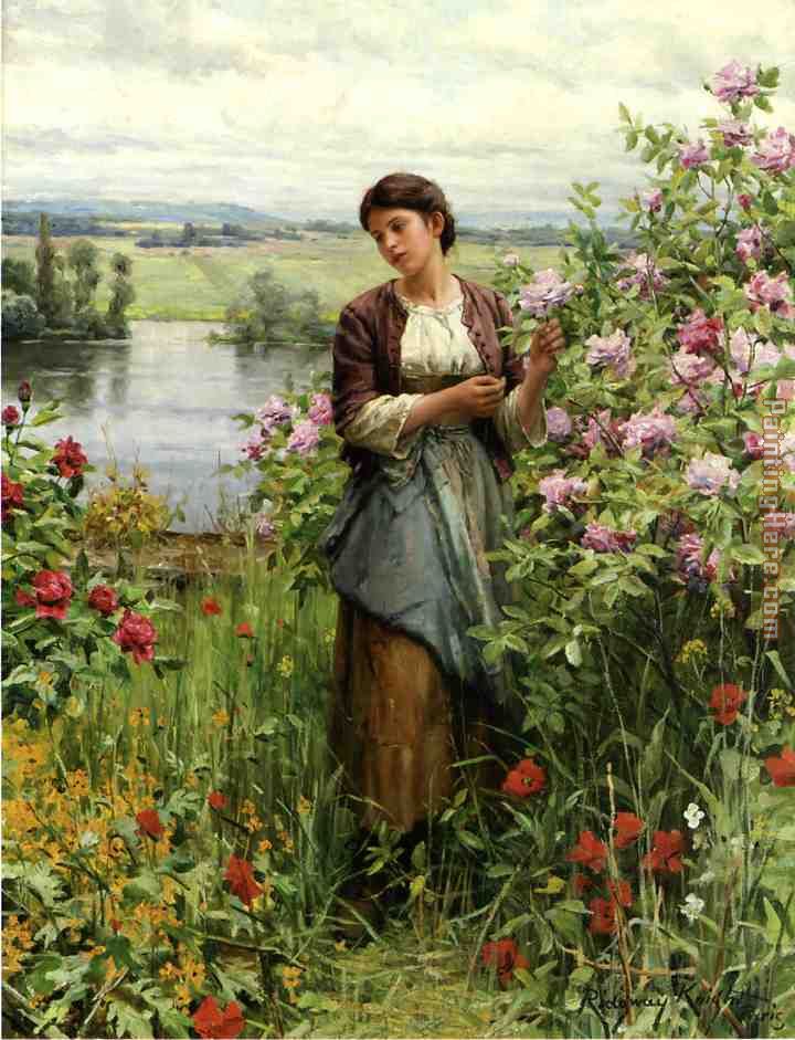 Julia among the Roses painting - Daniel Ridgway Knight Julia among the Roses art painting